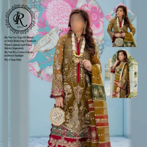 Organza Pakistani Style Party Wear